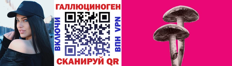 Галлюциногенные грибы Cubensis  Порхов 